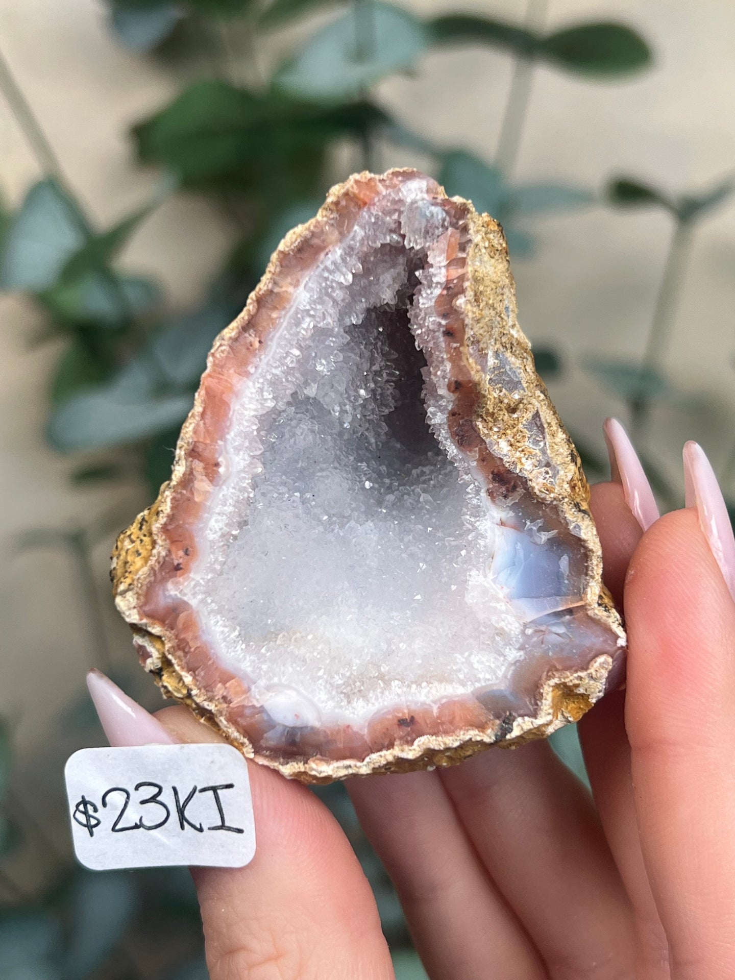 Pink Chalcedony Geodes (8 options)